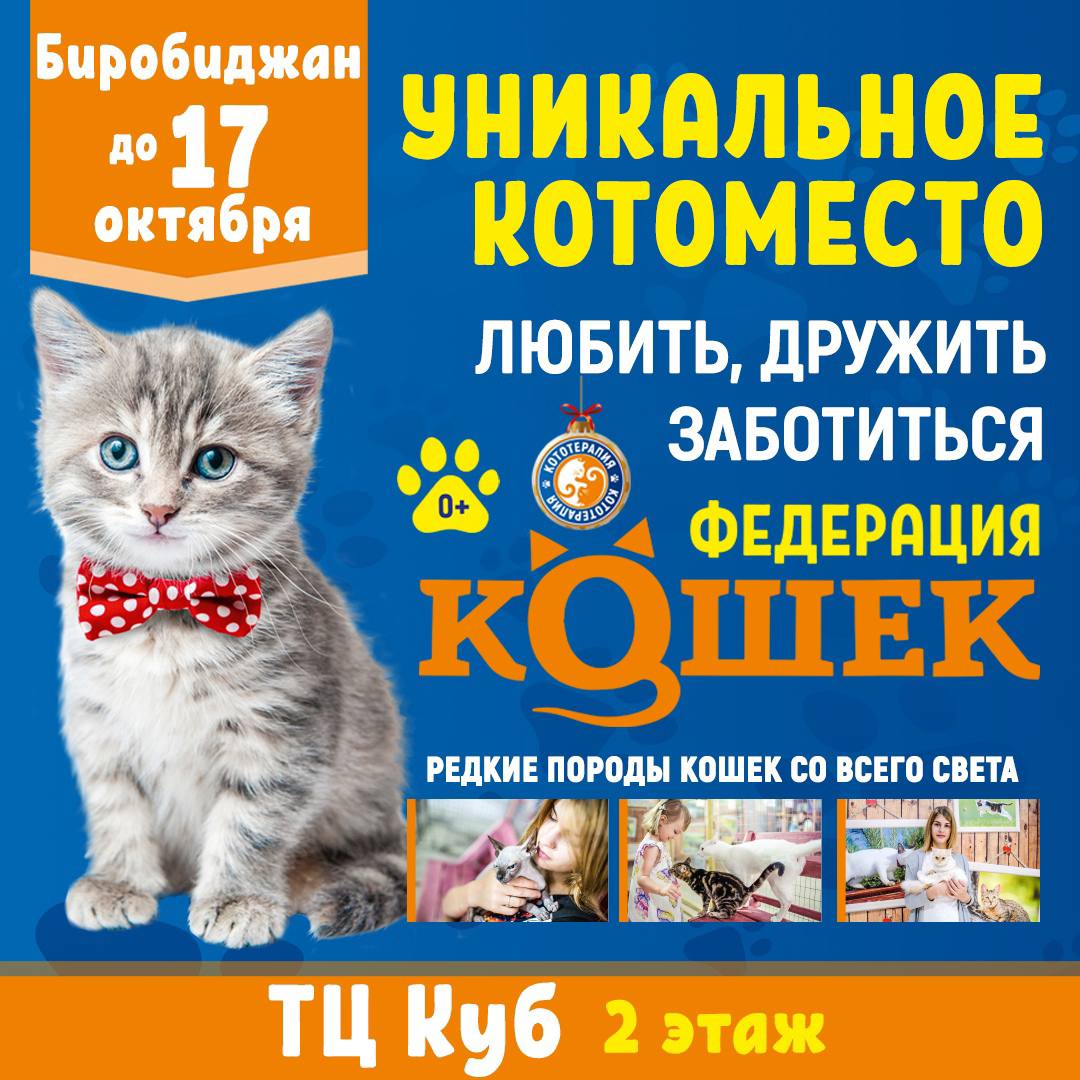 Уникальное КОТОМЕСТО -