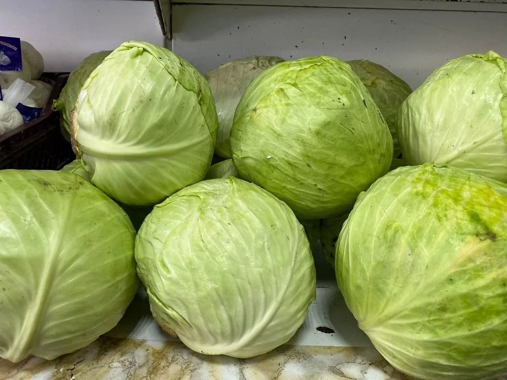 Рецепт квашеной капусты, которая понравится всем - LIVE Биробиджан ...