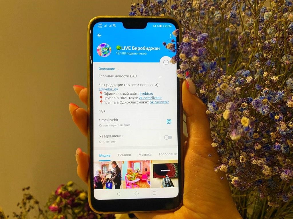 Подписан каждый второй: самый популярный Telegram-канал ЕАО празднует День  рождения - LIVE Биробиджан - Новости ЕАО
