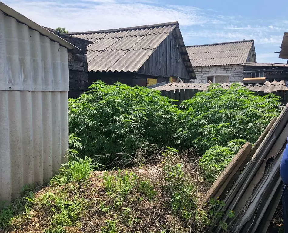 Резкий запах ацетона выдал наркоцех в Биробиджане - LIVE Биробиджан ...