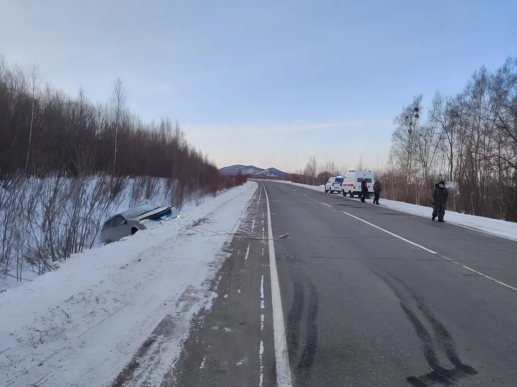 Под колёса машины попала девочка, перебегавшая дорогу на красный свет в  Биробиджане - LIVE Биробиджан - Новости ЕАО