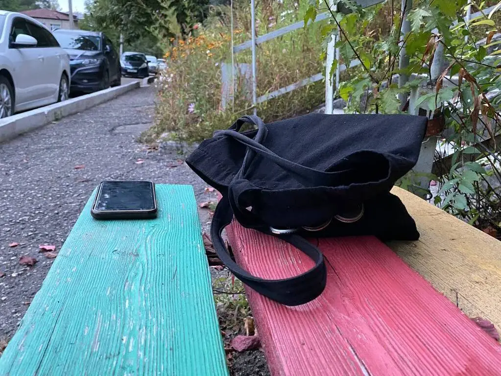 Сдал в ломбард телефон подруги после попойки рецидивист из Биробиджана ...