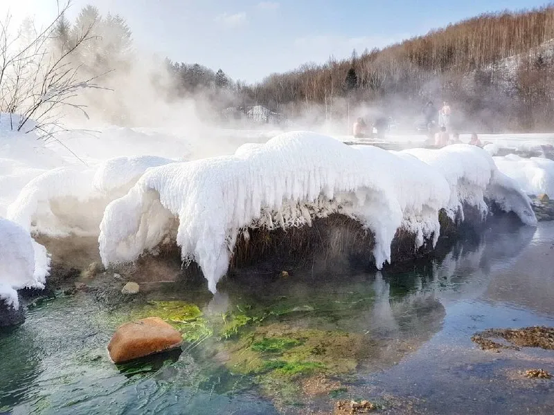 Финалисты определены! Готовимся к приключению в Долину тигров и Кульдур!