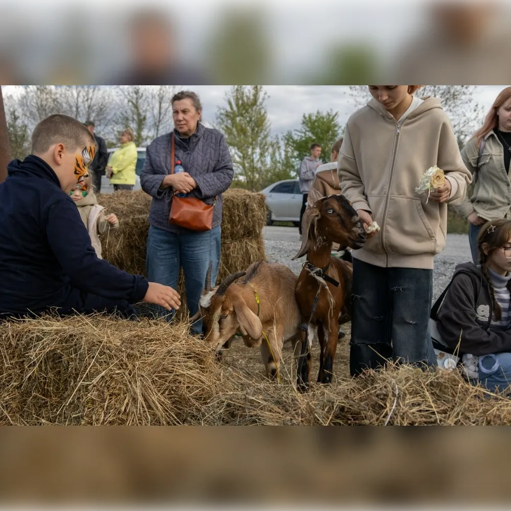 Радость для детей и взрослых: контактный зоопарк на III Этнофесте «Бирария»