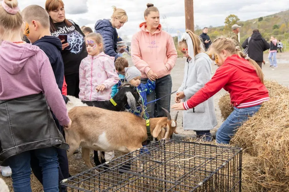 Медиасопровождение под ключ: ЛАЙВ ДВ берет на себя полную подготовку к мероприятию в ЕАО
