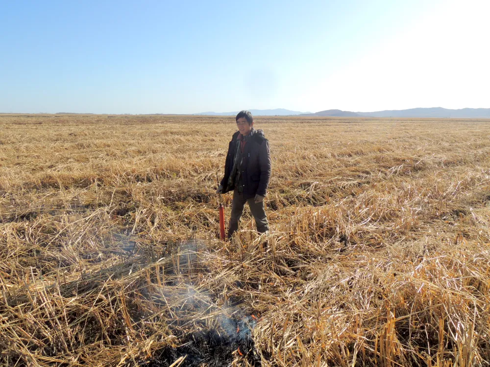 Иностранца-поджигателя сухой травы задержали в приграничном районе ЕАО
