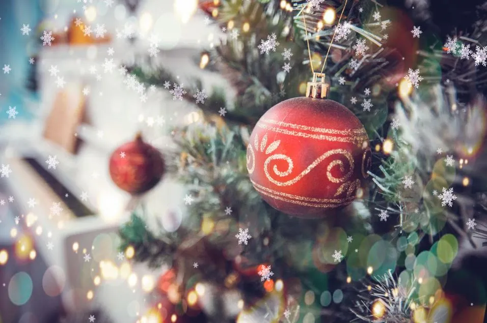 Новогодняя программа мероприятий в Биробиджане с 31 декабря по 7 января