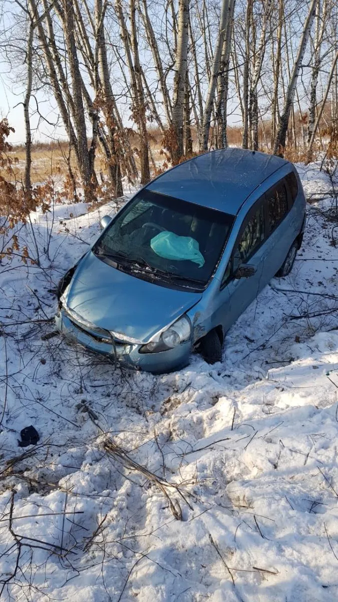 Съезд в придорожный кювет совершил автовладелец в ЕАО