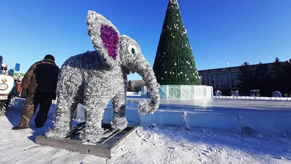 Тематическая фотозона в преддверии Нового года появится в центре Биробиджана