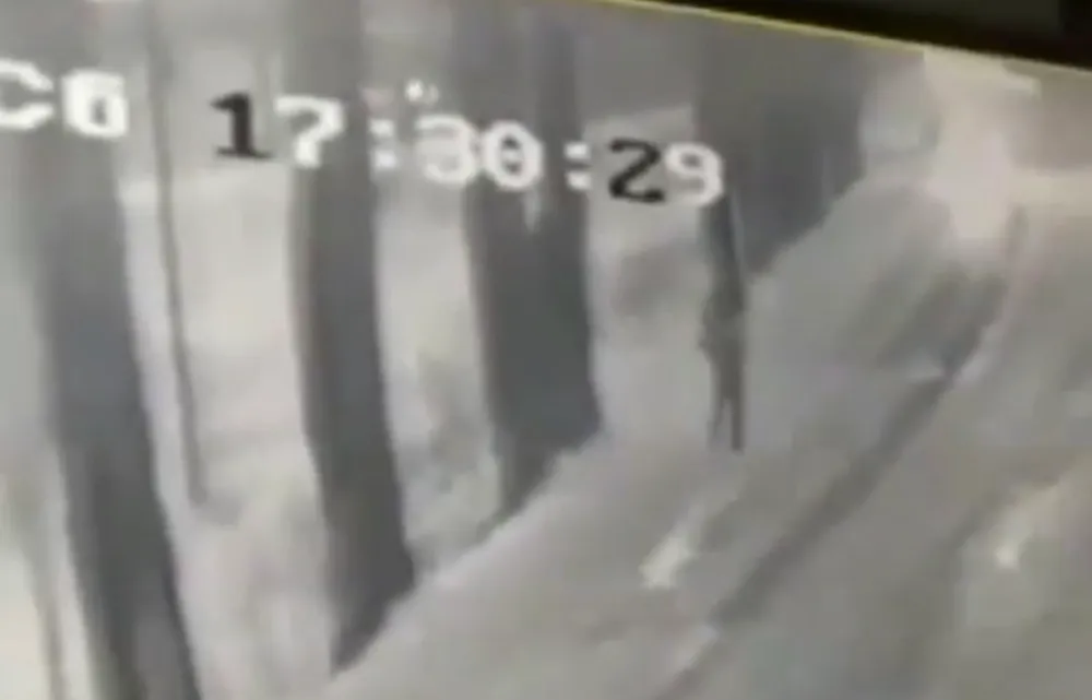 Подозреваемый в нападении на школьницу задержан в Биробиджане