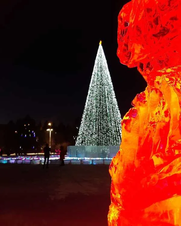 На площади Ленина зажгли главную ёлку Биробиджана