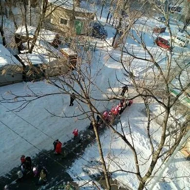 Низкий вам поклон: родители массово благодарят работников детсадов на страницах LIVE Биробиджан