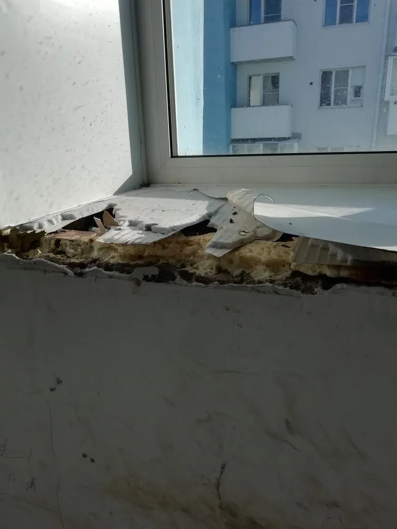 Новое жильё в аварийное: вандалы из Биробиджана портят общедомовое имущество