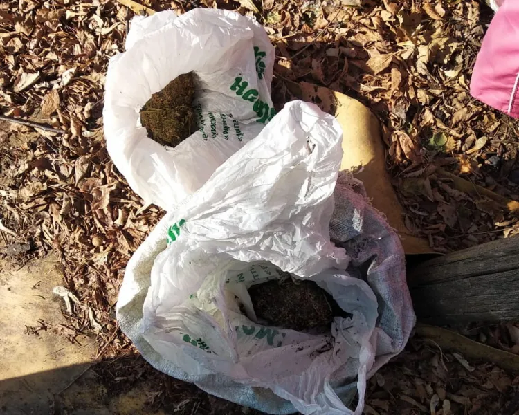 Два пакета с марихуаной хранил на приусадебном участке житель ЕАО