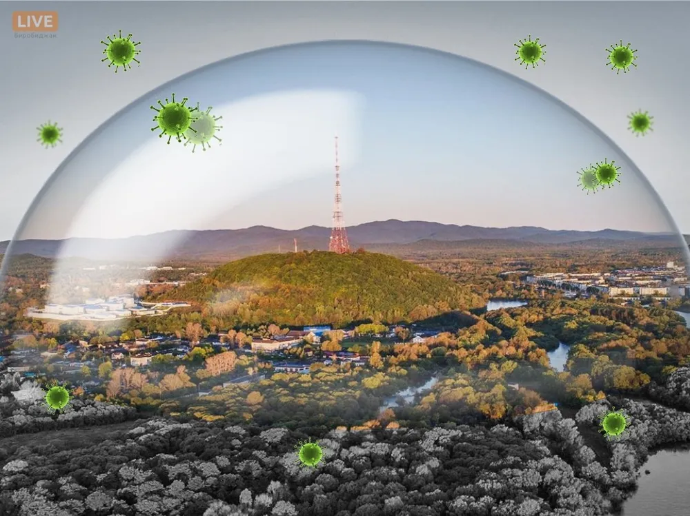 Продлены до 11 мая все ограничительные мероприятия в ЕАО