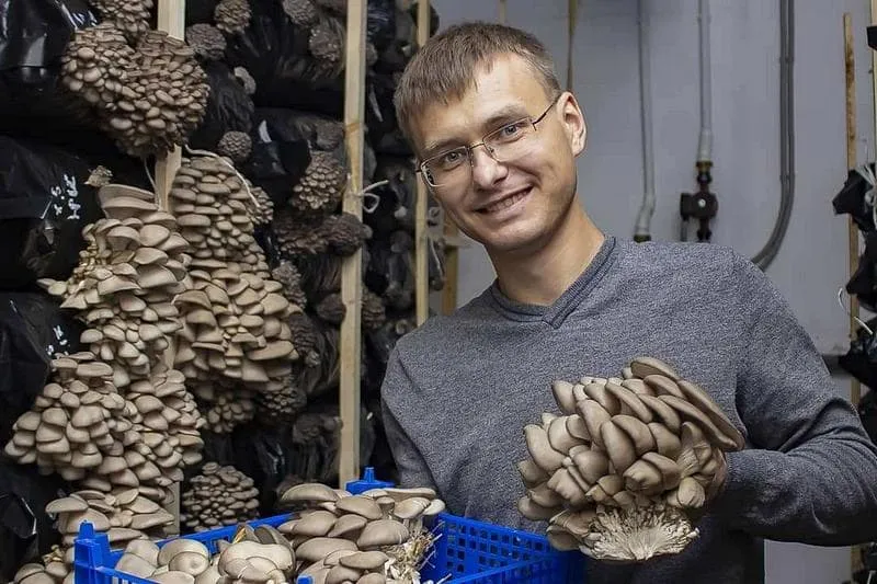 Из айтишника в бизнесмены: грибная история фермера Романа из ЕАО