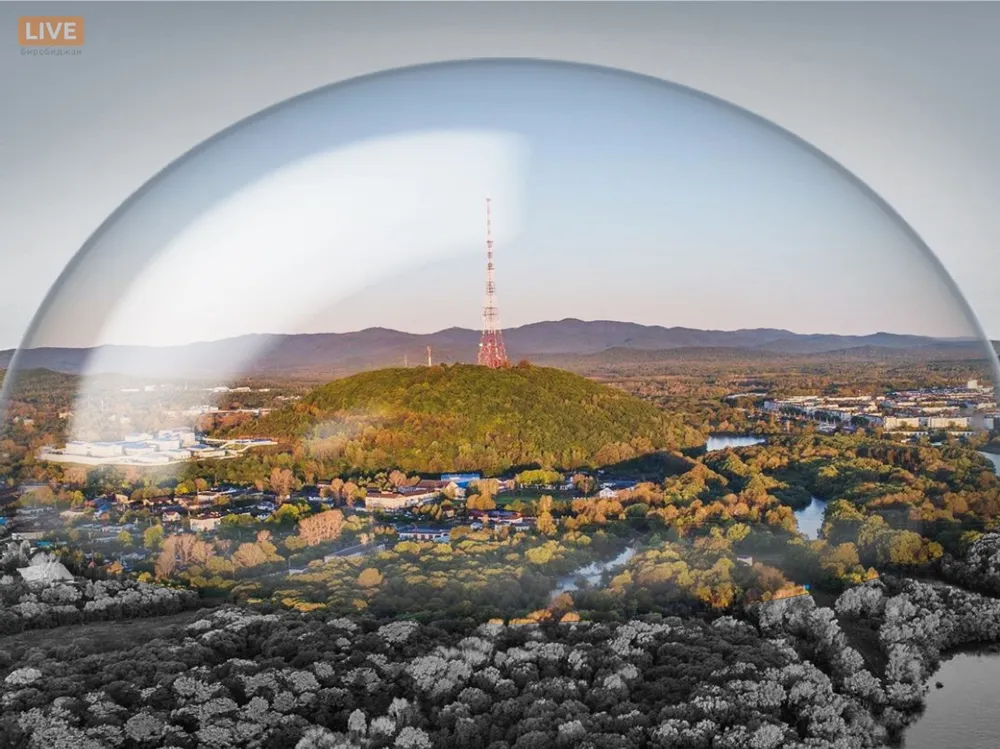 Путин предложил новые меры поддержки в условиях пандемии