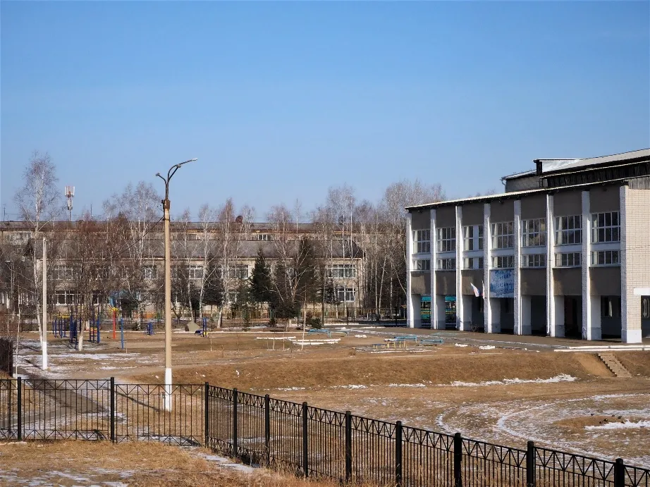 Дистанционное обучение начнется в школах ЕАО с 6 апреля