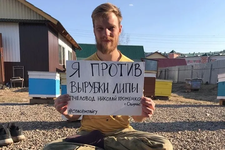 Липовая история: как пчеловоды ЕАО пытаются спасти главный медонос региона