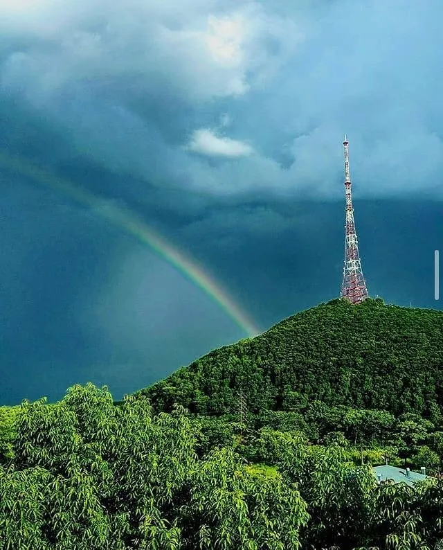 «Проблемы экологии за нас никто не решит» - активист об Экофестивале в Биробиджане