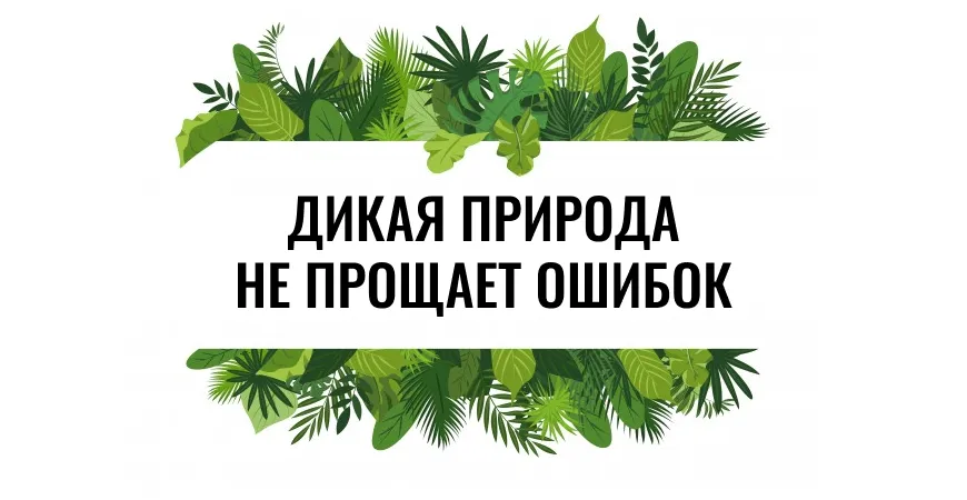 ТЕСТ: сможете ли вы выжить в дикой природе?