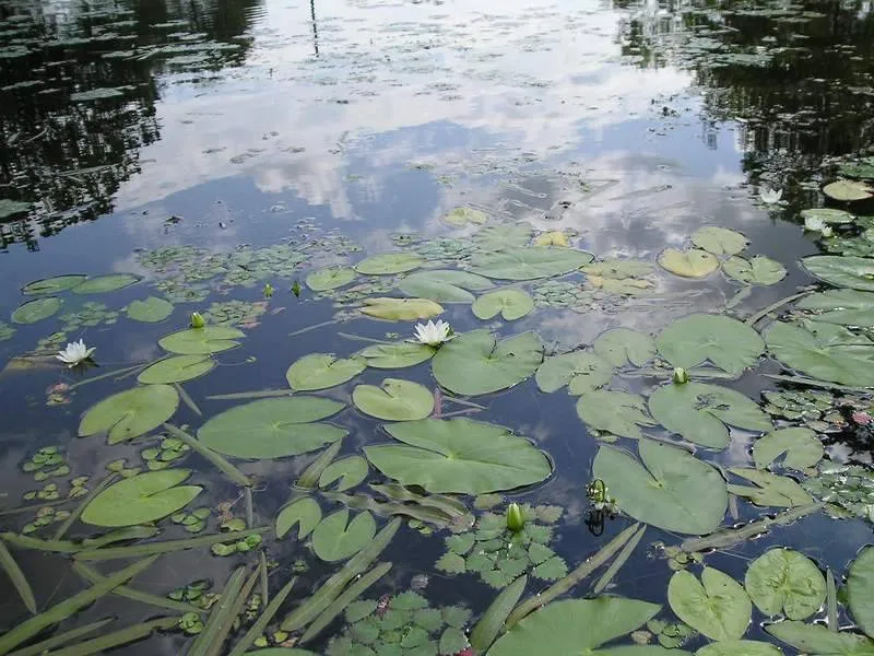 Экологический субботник провели в заповеднике «Бастак» ЕАО