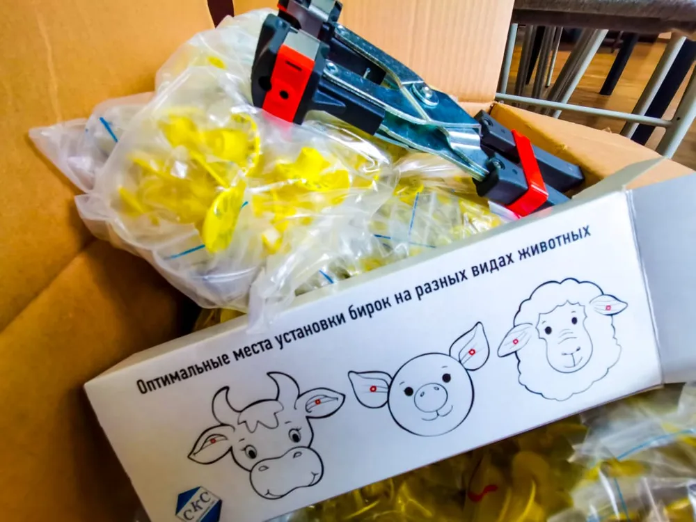 Партия клипс для бесплатного чипирования домашних животных поступила в Биробиджан