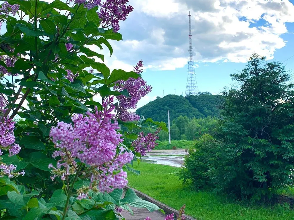 Глава ЕАО вошел в правительственную комиссию  по развитию Дальнего Востока