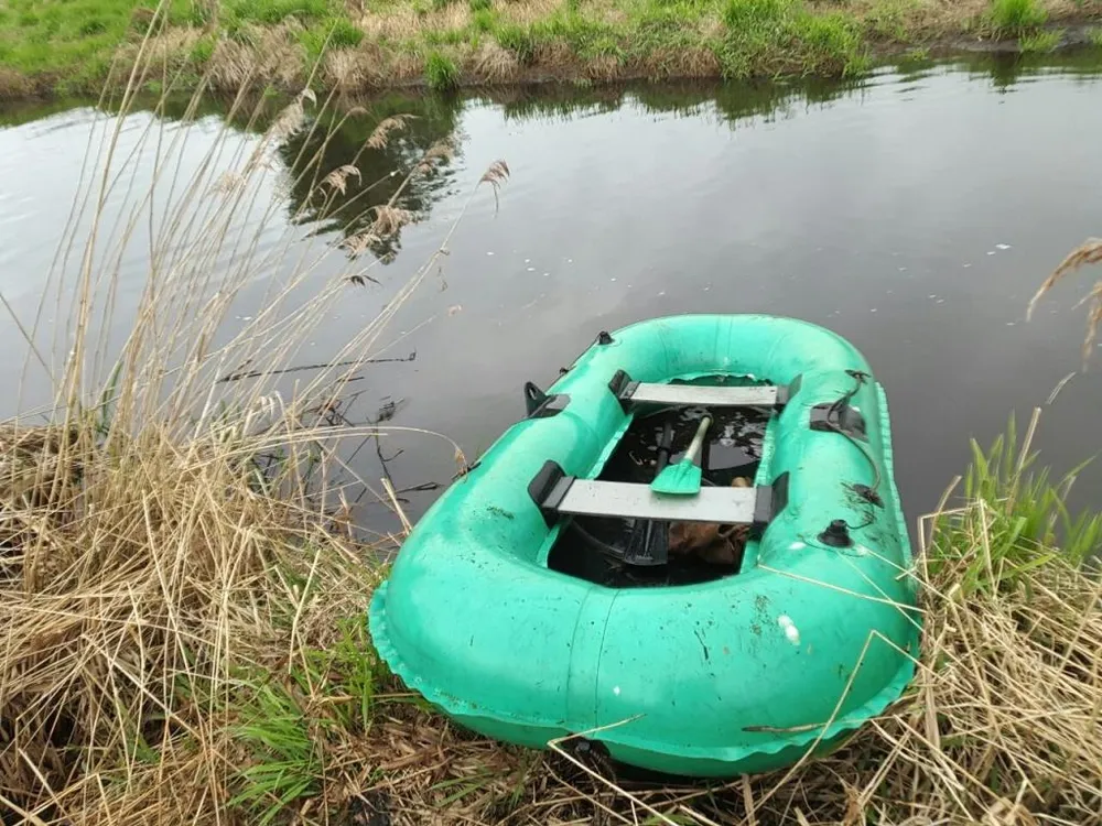 В ЕАО браконьеры пойдут под суд за незаконный вылов рыбы в р. Амур