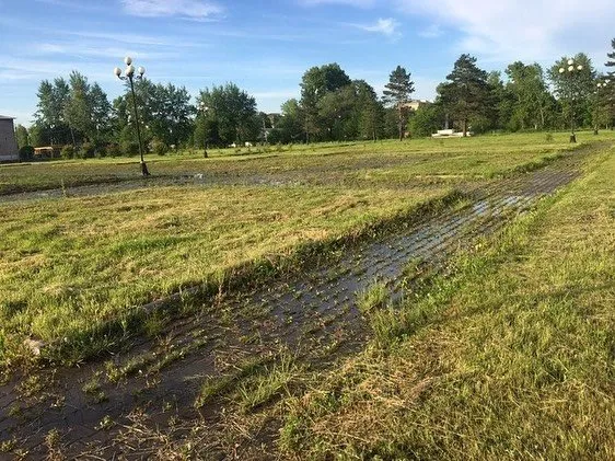 Картина постапокалипсиса: в джунгли превращается районный центр в ЕАО – ФОТО
