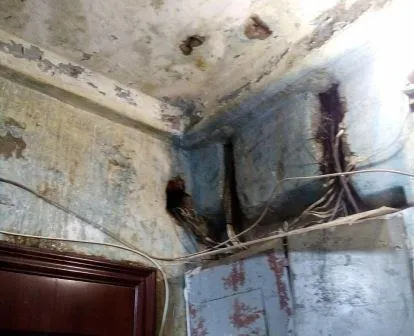 Открытое обращение к Гольдштейну в Инстаграм стало поводом для прокурорской проверки в ЕАО