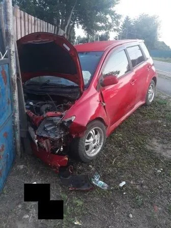 ФОТО: Погибла на месте корова после столкновения с авто в ЕАО