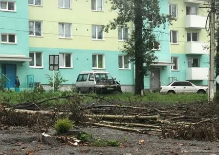 До сих пор не ликвидированы последствия урагана в Облученском районе