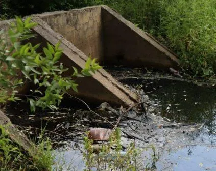 Загрязнённые и разрушенные каналы не защищают от паводка п.Августовский в Биробиджане