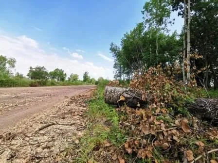 Глобальный ремонт аварийной дороги на Щукинку предстоит в Биробиджане