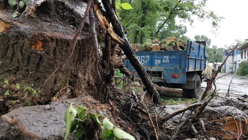 Более 1,5 км теплотрасс заменят в Биробиджане