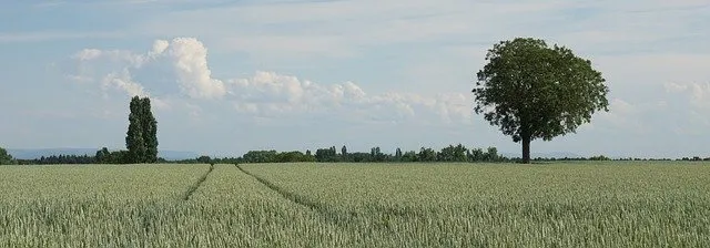 Погода в ЕАО на 5 июля