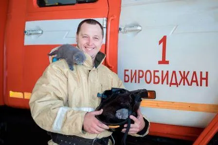 Даже суровые спасатели из МЧС обожают котиков в Биробиджане