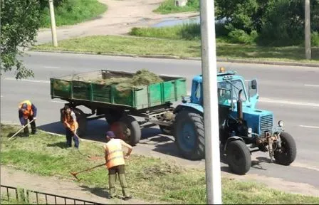 «Управленческим идиотизмом» назвал уборку травы с газонов экоблогер из Биробиджана