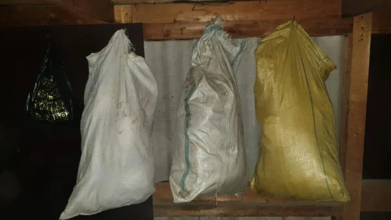 На 20 лет за 60 кг марихуаны может сесть житель ЕАО