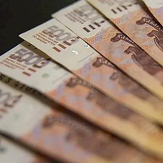 На горячее питание школьников 46 млн рублей поступило в бюджет ЕАО