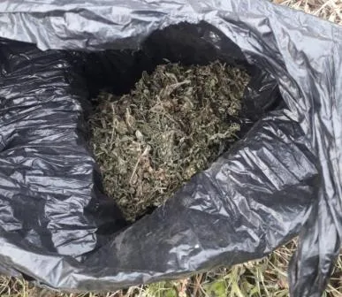 Необычные тайники для хранения наркотиков придумал житель с. Венцелево