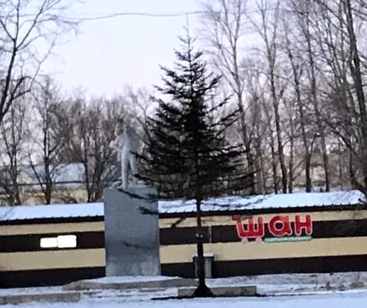 Ёлку-анорексичку подарила местная администрация жителям пос. Теплоозёрск в ЕАО