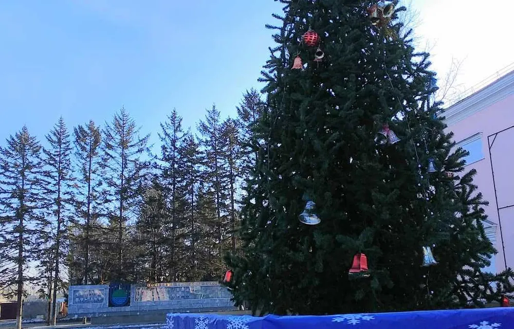 Елку установили в центре Биробиджана