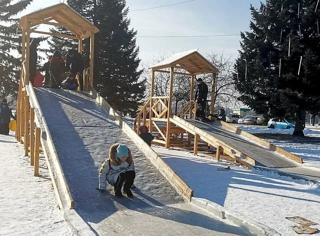Туалеты и ледяной лабиринт просят биробиджанцы у мэра города