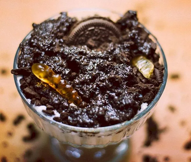 Ешьте Грязь: немного странный десерт предлагает жителям ЕАО LIVE Биробиджан