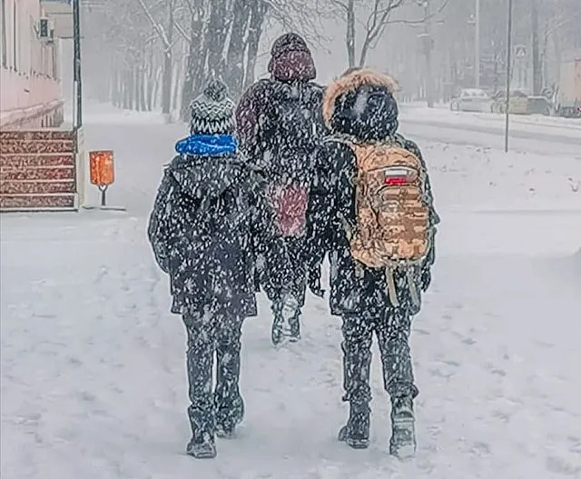 Переходят на дистанционное обучение начальные классы нескольких школ в Биробиджане
