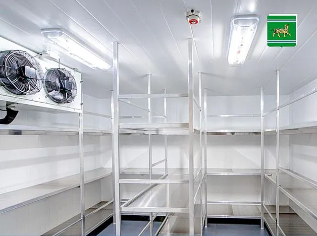 Холодильник стоимостью 850 тысяч рублей запущен в Биробиджане