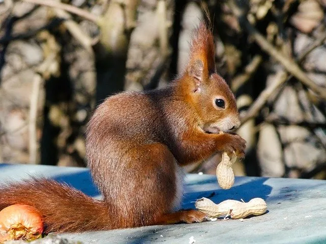 Какой будет погода в ЕАО 10 марта