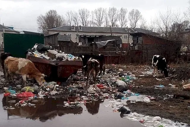 Оштрафована на 250 тыс. рублей управляющая компания «Луч» в ЕАО